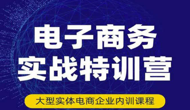 （3101期）电子商务实战特训营，全方位带你入门电商，308种方式玩转电商-安索博客网