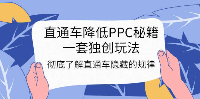 （3013期）直通车降低PPC秘籍，一套独创玩法：彻底了解直通车隐藏的规律-安索博客网