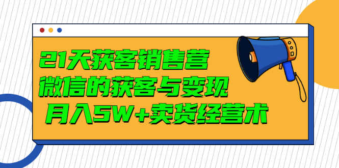 （2997期）21天获客销售营，带你微信的获客与变现  月入5W+卖货经营术-安索博客网