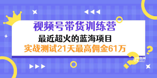 （2946期）外面收899【视频号带货训练营】最近超火：实测21天最高佣金61W(7月4日更新)-安索博客网