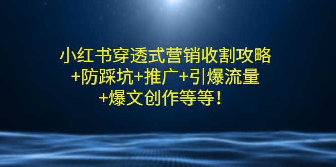 （2907期）小红书穿透式营销收割攻略+防踩坑+推广+引爆流量+爆文创作等等！-安索博客网