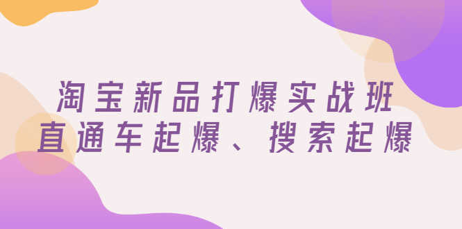 （2816期）淘宝新品打爆实战班，直通车起爆、搜索起爆（价值599元）-安索博客网