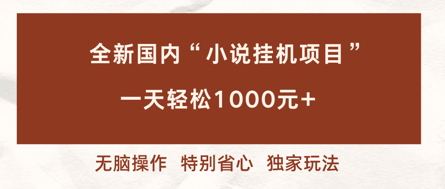国内小说挂机新路子，多窗口自动跑，日赚1000+，省心到爆！-安索博客网