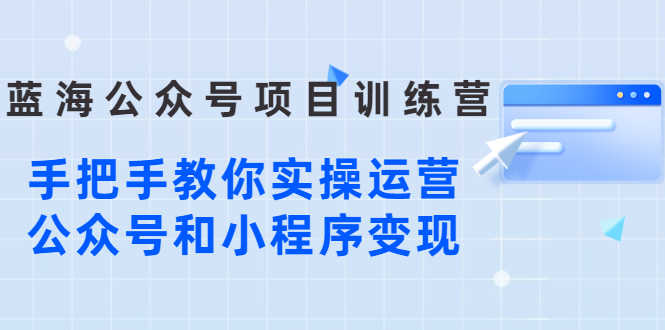 （2633期）蓝海公众号项目训练营，手把手教你实操运营公众号和小程序变现-安索博客网