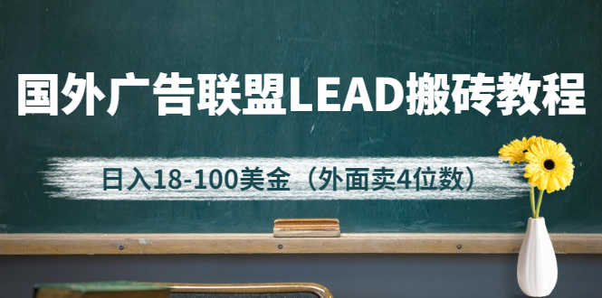 （2616期）外面卖4位数的国外广告联盟LEAD搬砖教程，日入18-100美金（教程+软件）-安索博客网