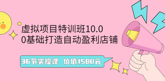 （2497期）虚拟项目特训班10.0，0基础打造自动盈利店铺 36节实操课-安索博客网