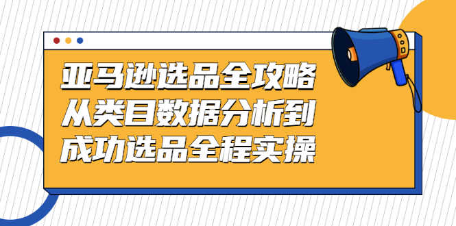 （2441期）亚马逊选品全攻略：从类目数据分析到成功选品全程实操-安索博客网