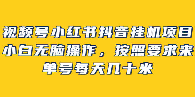 （2437期）视频号小红书抖音挂机项目，小白无脑操作，按照要求来，单号每天几十米-安索博客网