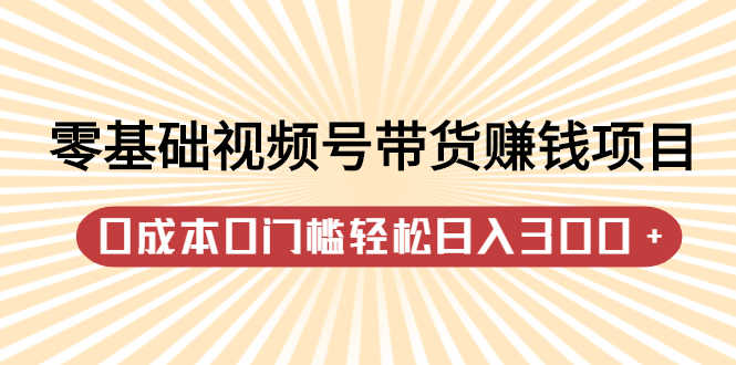 （2414期）零基础视频号带货赚钱项目，0成本0门槛轻松日入300+【视频教程】-安索博客网