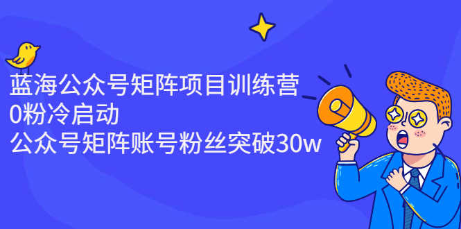 （2405期）蓝海公众号矩阵项目训练营，0粉冷启动，公众号矩阵账号粉丝突破30w-安索博客网
