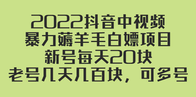 （2402期）2022抖音中视频暴力薅羊毛白嫖项目：新号每天20块，老号几天几百块，可多号-安索博客网