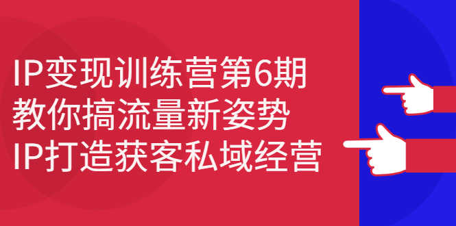（2351期）IP变现训练营第6期：教你搞流量新姿势，IP打造获客私域经营-安索博客网