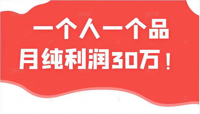 （2343期）某公众号付费文章：一个人一个品月纯利润30万的蓝海电商经典案例！-安索博客网