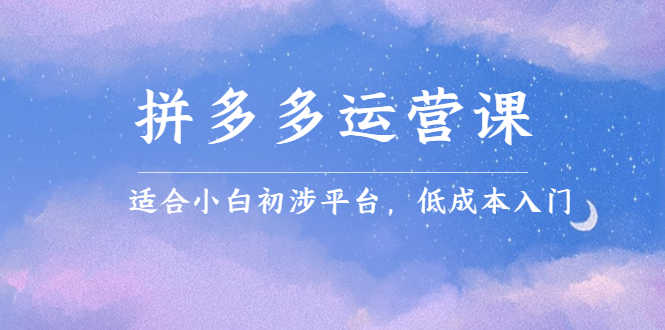 （2323期）拼多多运营课，适合小白初涉平台，低成本入门 创造销量和利润的方法-安索博客网