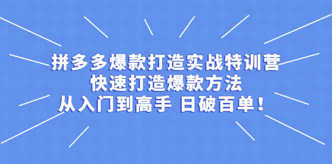 （2237期）拼多多爆款打造实战特训营：快速打造爆款方法，从入门到高手 日破百单-安索博客网