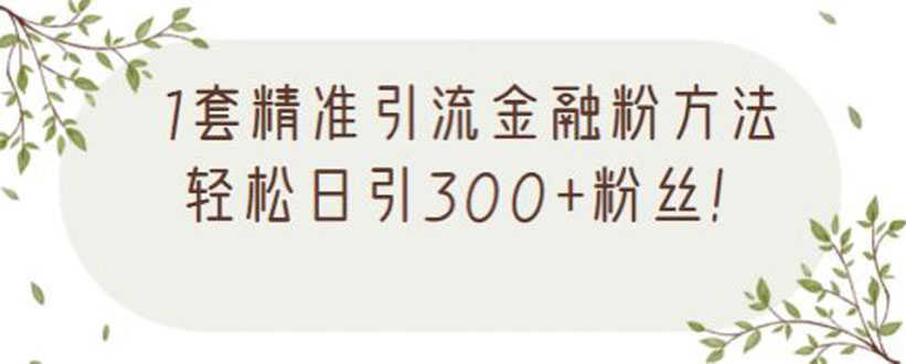 （2156期）1套精准引流金融粉方法，轻松日引300+粉丝【视频课程】-安索博客网