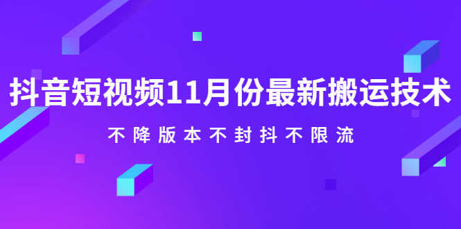 （2141期）抖音短视频11月份最新搬运技术，不降版本不封抖不限流！【视频课程】-安索博客网
