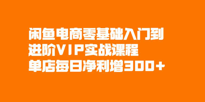 （2082期）闲鱼电商零基础入门到进阶VIP实战课程，单店每日净利增300+-安索博客网