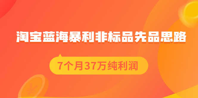 （2054期）淘宝蓝海暴利非标品先品思路，7个月37万纯利润，压箱干货分享！-安索博客网