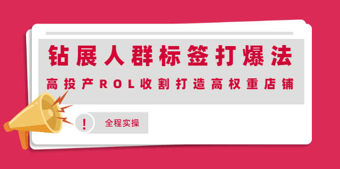 （2018期）钻展人群标签打爆法，高投产ROL收割打造高权重店铺(全程实操)-安索博客网