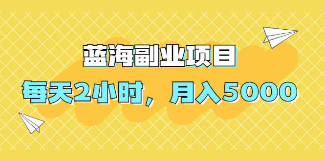 （1953期）蓝海副业项目，每天2小时，月入5000，附详细操作流程-安索博客网