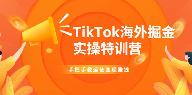 （1942期）TikTok海外掘金实操特训营：手把手教运营变现赚钱【视频课程】-安索博客网