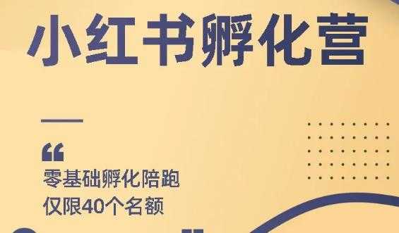 （1763期）勇哥小红书撸金快速起量项目：教你如何快速起号获得曝光，做到月躺赚3000+-安索博客网