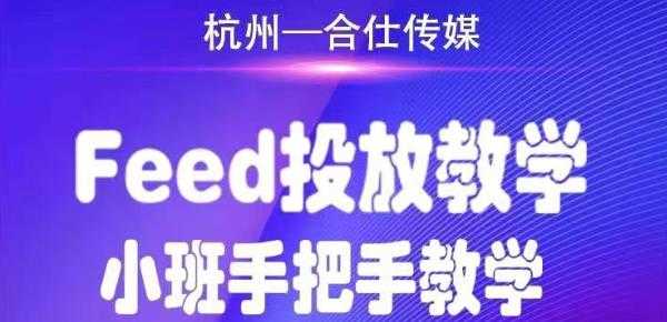 （1749期）合仕传媒Feed投放教学，手把手教学，开车烧钱必须自己会！-安索博客网