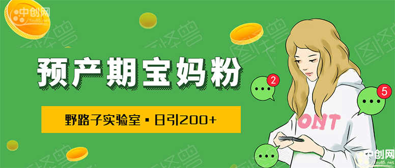 （1725期）日引200+预产期宝妈，从预产期到K12教育持续转化…操作方法简单-安索博客网
