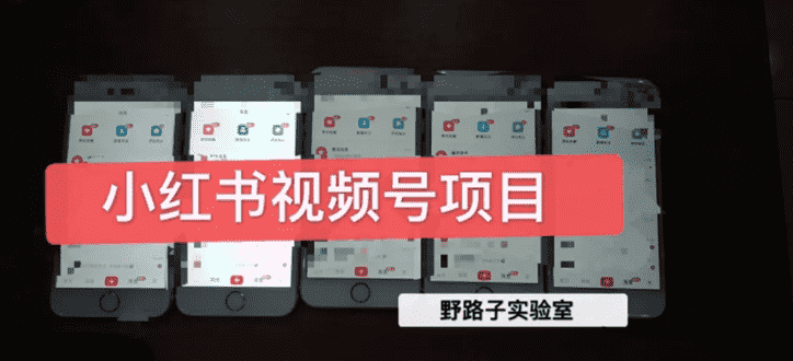 （1566期）野路子小红书课程月入过万：直接上手操作就能赚钱的视频号项目 可长久操作-安索博客网