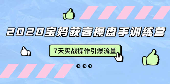 （1542期）2020宝妈获客操盘手训练营：7天实战操作引爆 母婴、都市、购物宝妈流量-安索博客网