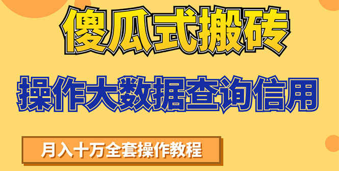 （1538期）傻瓜式搬砖操作大数据查询信用赚钱方法：助你快速月入6万全套操作教程-安索博客网