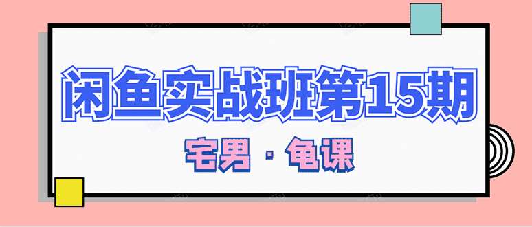 （1522期）龟课·闲鱼无货源电商课程第15期，一个月收益几万不等【33节视频-无水印】-安索博客网