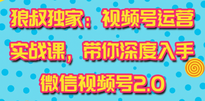 （1521期）视频号运营实战课2.0，目前市面上最新最全玩法，快速吸粉吸金（10节视频）-安索博客网