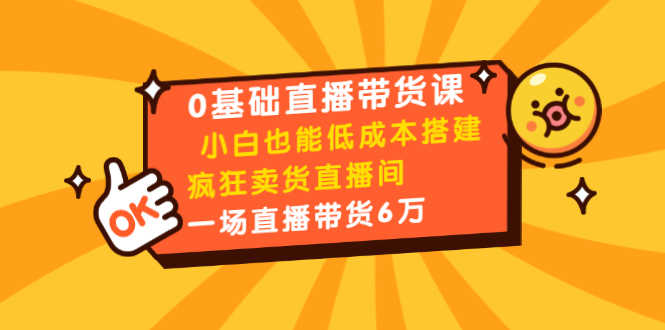 （1472期）0基础直播带货课：小白也能低成本搭建疯狂卖货直播间：1场直播带货6万-安索博客网
