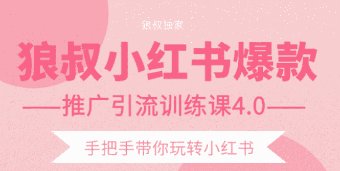 （1407期）小红书爆款推广引流训练课4.0，手把手带你玩转小红书（全套课程）-安索博客网
