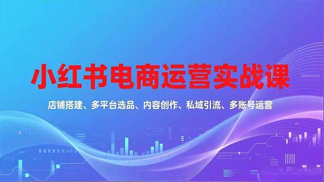 （16695期）小红书电商运营实战课，店铺搭建、多平台选品、内容创作、私域引流、多账号运营等玩法-安索博客网