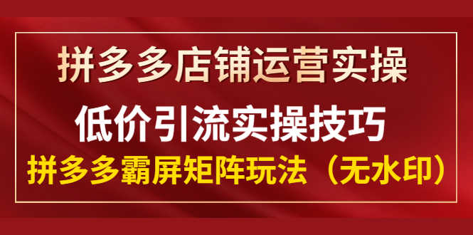 （1342期）拼多多店铺运营实操，低价引流实操技巧，拼多多霸屏矩阵玩法（无水印）-安索博客网