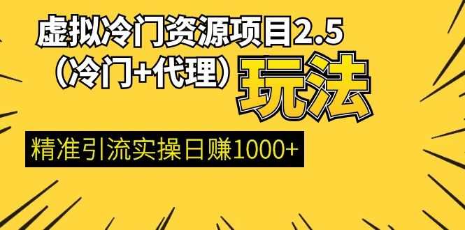 （1185期）虚拟冷门资源项目2.5（冷门&代理玩法） 精准引流实操日赚1000+(更新中)-安索博客网