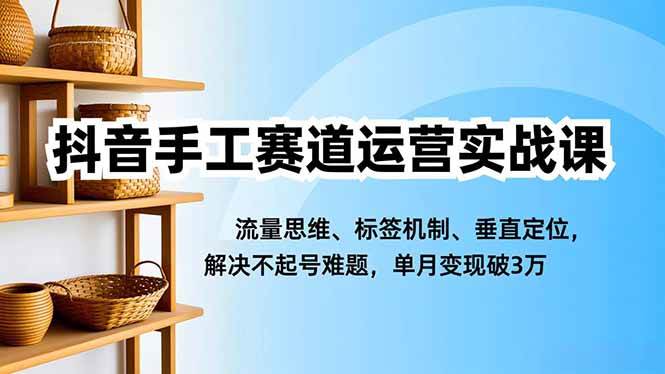 抖音手工号怎么玩？这套实战课帮你搞定，单月变现3万不是梦-安索博客网