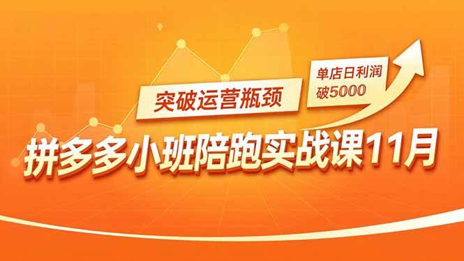 拼多多小班陪跑实战课11月：强付费矩阵、原价活动、暗券引流，帮你突破瓶颈，单店日赚5000块-安索博客网