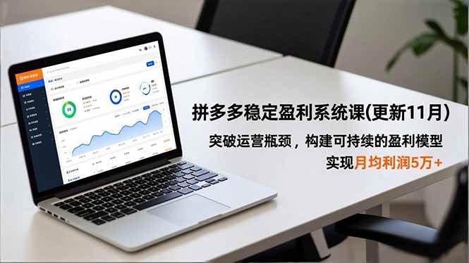 拼多多稳定赚钱系统课（11月更新版），搞定运营难题，打造长期赚钱模式，月利润轻松破5万+-安索博客网