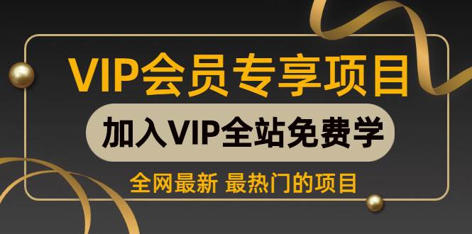 海外美金AI掘金项目，200U就能上车，每天只做一单，轻松日入1000-2000！-安索博客网