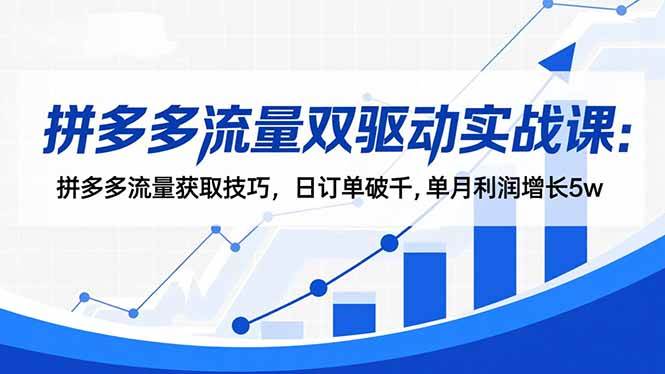 拼多多流量双驱动实战课：手把手教你搞定流量，日订单破千，月利润多赚5万-安索博客网