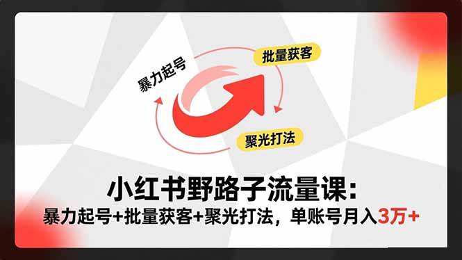 小红书野路子流量课：轻松起号+疯狂获客+低成本拉新，一个账号月入3万+-安索博客网