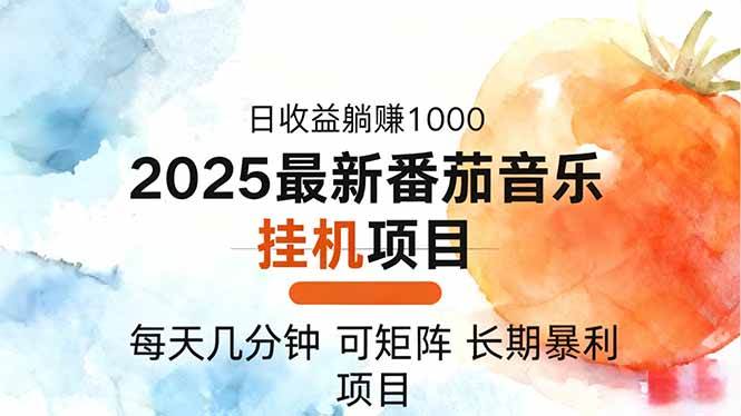 2025年最新番茄音乐人挂机项目：每天几分钟，月入1000+，还能一台电脑多账号操作-安索博客网