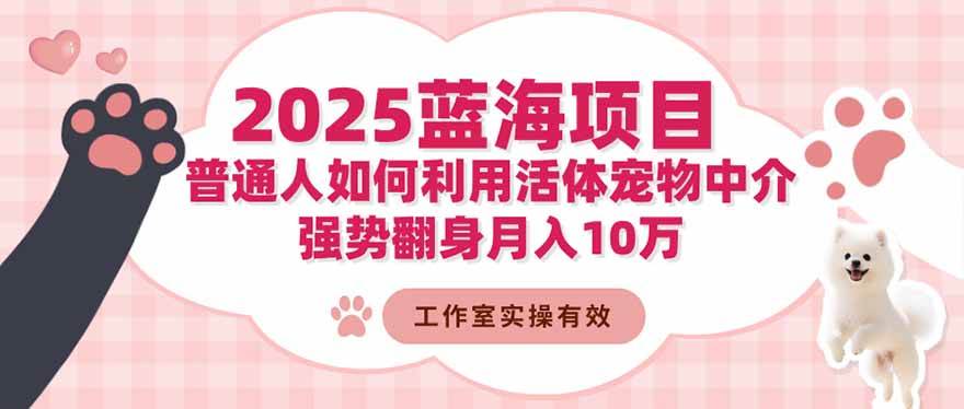 2025年超冷门赚钱路子：普通人靠宠物中介翻身，月入10万不是梦-安索博客网