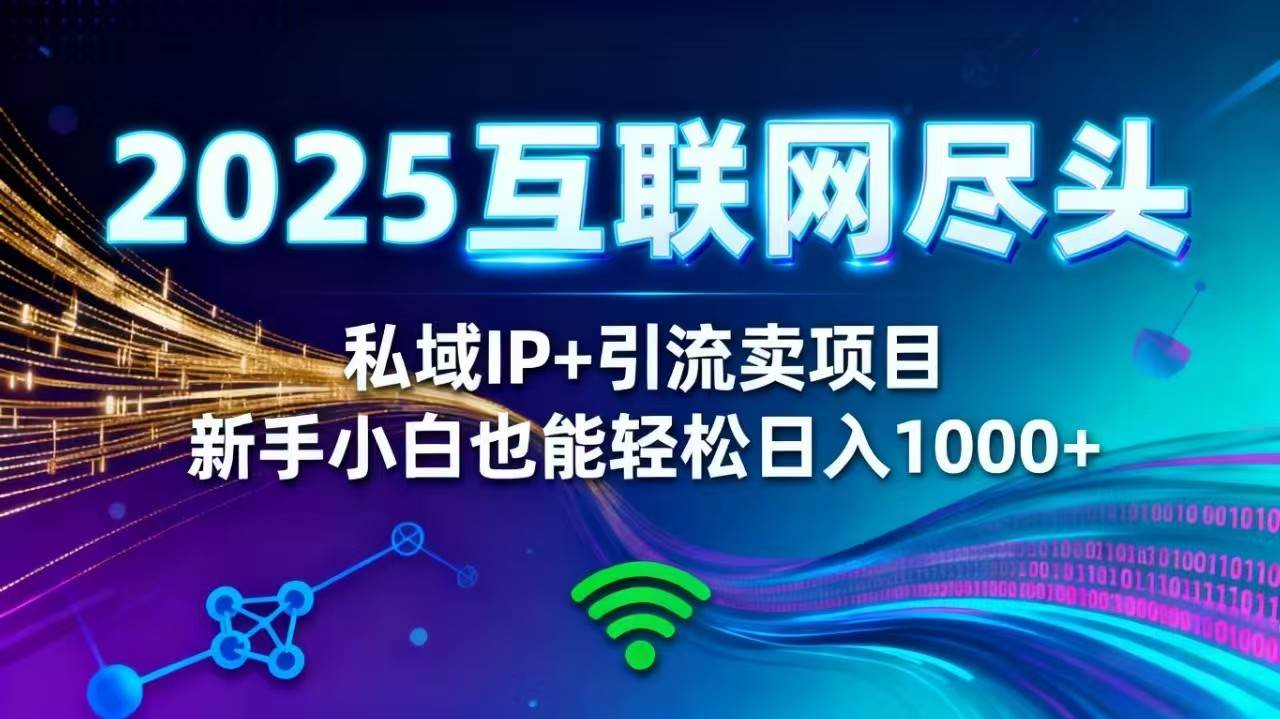 2025年网创爆款项目！私域IP+精准引流，新手在家轻松日赚1000+-安索博客网