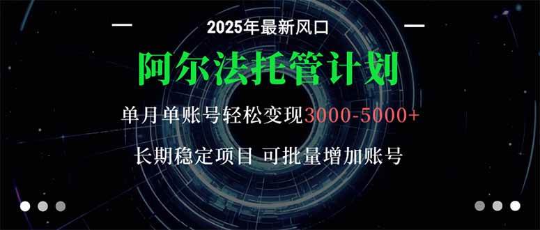 （16360期）阿尔法托管计划 单账号月赚3000-5000，长期稳赚，新手也能轻松搞定-安索博客网