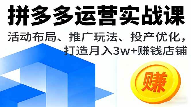 （16137期）拼多多店铺赚钱课，活动套路、推广技巧、投产优化，手把手教你月入3w+-安索博客网